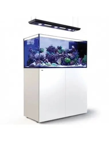 RED SEA - Reefer Peninsula Deluxe - P500 - Blanc - (3 ReefLED , rampe suspendue)