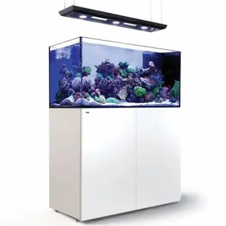 RDEČE MORJE - Reefer Peninsula Deluxe - P500 - Bela - (3 ReefLED, viseča rampa) RDEČE MORJE - Reefer Peninsula Deluxe - P500 - Bela - (3 ReefLED, viseča rampa)