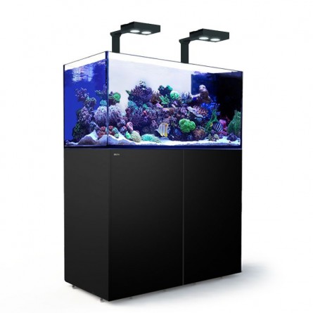 RED SEA - Reefer Peninsula Deluxe - P500 - Black - (2 ReefLED 160S and 2 stems) RED SEA - Reefer Peninsula Deluxe - P500 - Black - (2 ReefLED 160S and 2 stems)