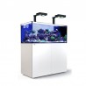 RED SEA - Reefer Peninsula Deluxe - P500 - White - (2 ReefLED 160S and 2 stems) Red Sea - 1 RED SEA - Reefer Peninsula Deluxe - P500 - White - (2 ReefLED 160S and 2 stems) Red Sea - 1