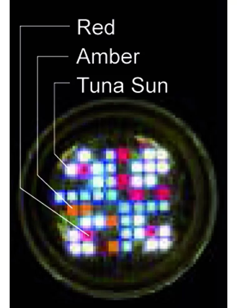 KESSIL - LED A360X Tuna Sun - 90 W - Luminaire compact pour aquarium eau douce