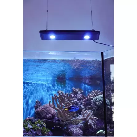 KESSIL - LED AP700 - 185 W - Luminaire plat pour aquarium eau de mer