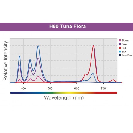 KESSIL - LED H80 Tuna Flora - 15 W - Svetilka za gojenje rastlin v zavetjih