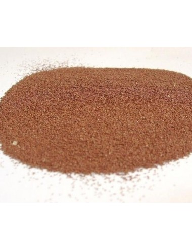 Zoanthus.fr - Artemia eggs 90% hatching in bulk - 200 ml JBL Aquarium - 1