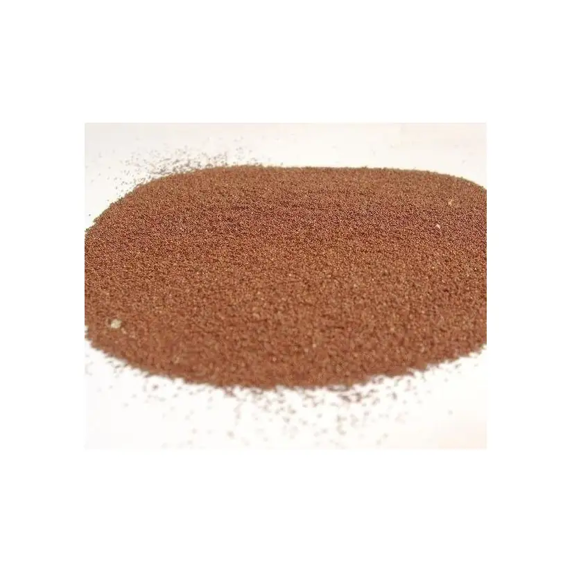 Zoanthus.fr - Artemia eggs 90% hatching in bulk - 200 ml JBL Aquarium - 1