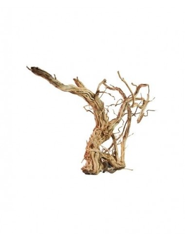 Root - LEGNO DRAGON SKIN SM - 40 TO 60CM