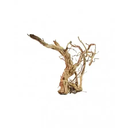 Root - LEGNO DRAGON SKIN SM - 40 TO 60CM Root - LEGNO DRAGON SKIN SM - 40 TO 60CM