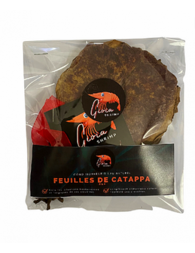 Gioia Shrimp - 10 Foglie Catappa - Balsamo Acqua e Integratore Alimentare - Per Gamberi Acquario