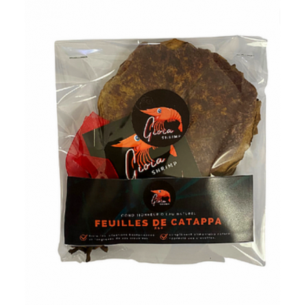 Gioia Shrimp - 10 Folhas de Catappa - Condicionador de Água e Suplemento Alimentar - Para Camarão de Aquário Gioia Shrimp - 10 Folhas de Catappa - Condicionador de Água e Suplemento Alimentar - Para Camarão de Aquário