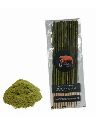 Gioia Shrimp - paket od 12 organskih moringa lizalica - za akvarijske škampe