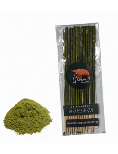 Gioia Shrimp - Pakket van 12 biologische Moringa-lollies - voor aquariumgarnalen