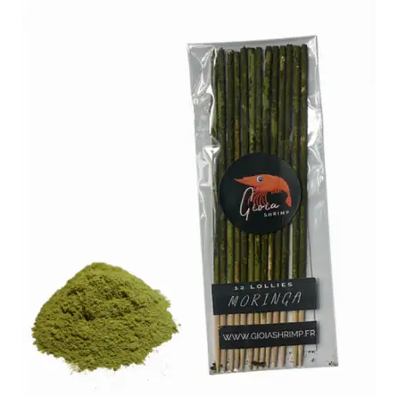 Gioia Shrimp - Lot de 12 lollies Moringa Bio - Pour crevettes d’aquarium