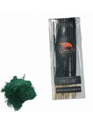 Gioia Shrimp - Set van 12 biologische Spirulina-lollies - voor aquariumgarnalen