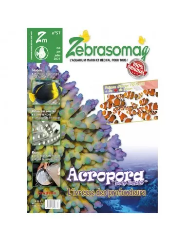 EDIÇÕES ANIMALIA - ZebrasO'mag N°57 Animalia Editions - 1