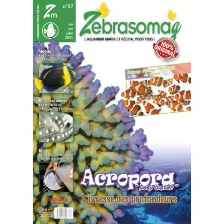 EDIÇÕES ANIMALIA - ZebrasO'mag N°57 Animalia Editions - 1