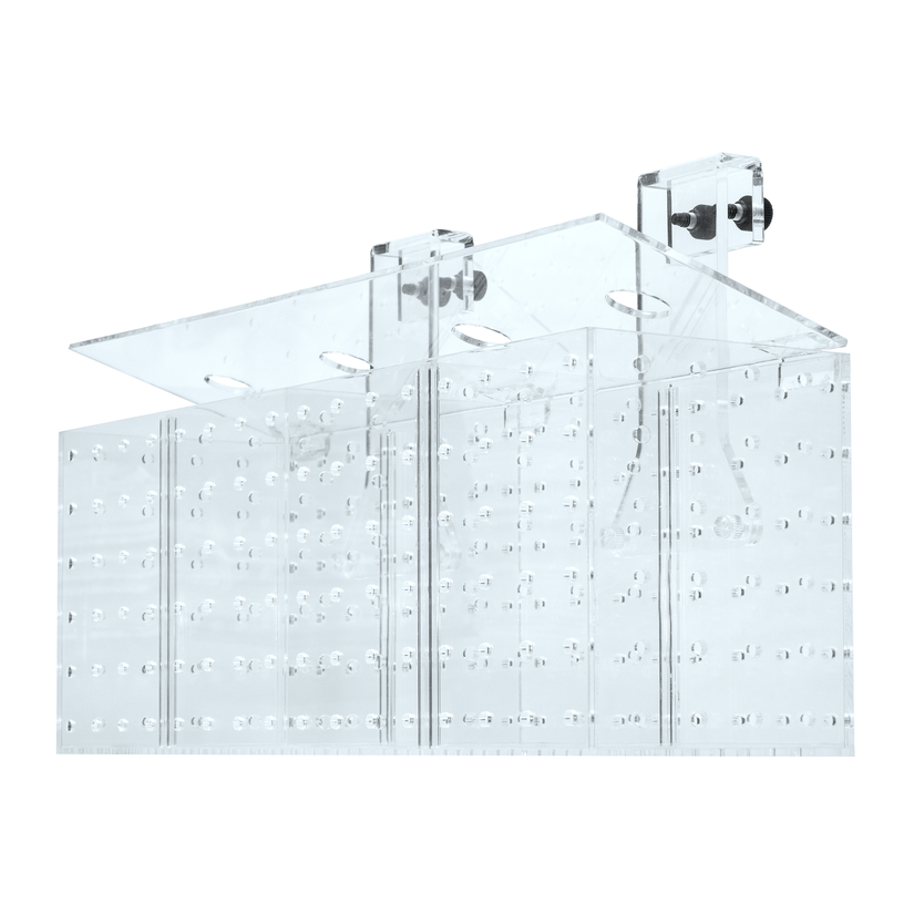 GROTECH - Akklimatisierungsbox - Acclimatization box - 5 chambers - For hanging in aquariums
