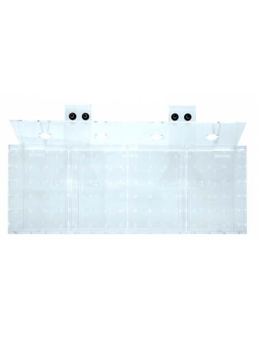 GROTECH - Akklimatisierungsbox - Aklimatizacijska škatla - 5 komor - Za obešanje v akvarijih