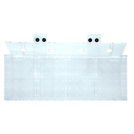 GROTECH - Akklimatisierungsbox - Boîte d'acclimatation - 4 chambres - Pour l'accrochage dans les aquariums