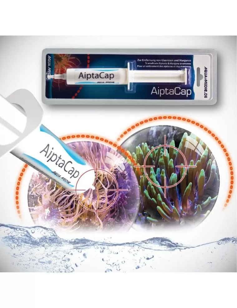 AQUA MEDIC - AiptaCap - 40g - Anti Aiptasias et Manjanos