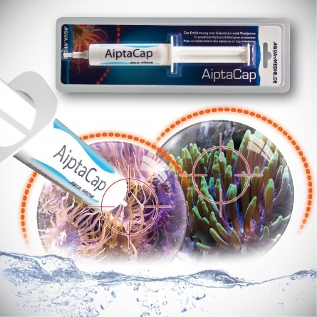 AQUA MEDIC - AiptaCap - 40g - Anti Aiptasia en Manjanos