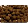 OCEAN NUTRITION - Coral pellets - Large - 100g - Food for corals OCEAN NUTRITION - Coral pellets - Large - 100g - Food for corals