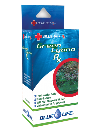 BLUE LIFE USA - Green Cyano Rx - 4g - Behandlung gegen Cyanobakterien