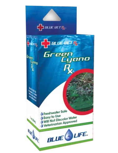 BLUE LIFE USA - Green Cyano Rx - 4g - Traitement contre les cyano-bactéries