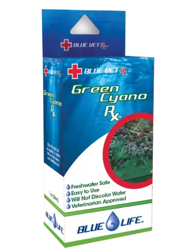 BLUE LIFE USA - Green Cyano Rx - 4g - Zdravljenje proti cianobakterijam