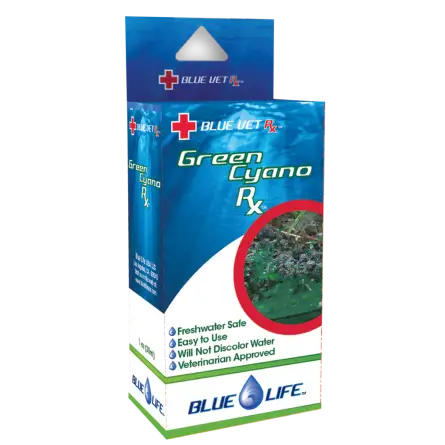 BLUE LIFE USA - Green Cyano Rx - 4g - Behandlung gegen Cyanobakterien BLUE LIFE USA - Green Cyano Rx - 4g - Behandlung gegen Cyanobakterien