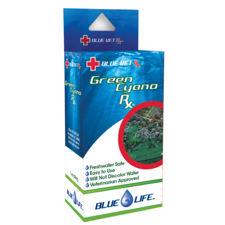 BLUE LIFE USA - Green Cyano Rx - 4g - Traitement contre les cyano-bactéries BLUE LIFE USA - Green Cyano Rx - 4g - Traitement contre les cyano-bactéries