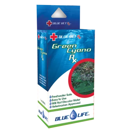 BLUE LIFE USA - Green Cyano Rx - 4g - Traitement contre les cyano-bactéries