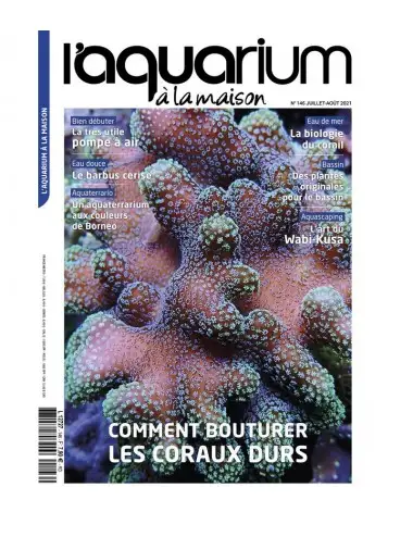 L'Acquario in casa - Numero 146