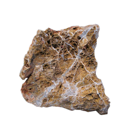 AQUAVIE - Piedra - Hoja de arce naranja - S1 AQUAVIE - Piedra - Hoja de arce naranja - S1