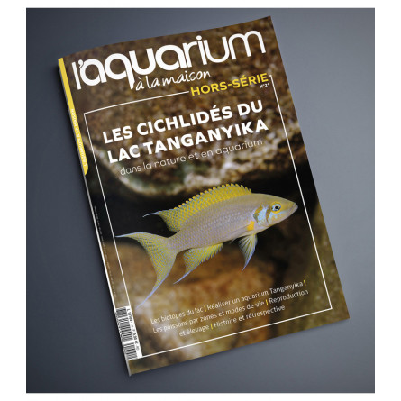 Akvarij kod kuće - Posebno izdanje br. 21 - Tanganyika ciklidi - U prirodi i akvariju