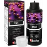 RODE ZEE - DipX - 5 L - Risicovrije introductie van nieuwe koralen RODE ZEE - DipX - 5 L - Risicovrije introductie van nieuwe koralen