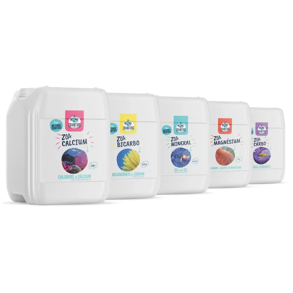 Set of 5 Balling labels - New visual - 1