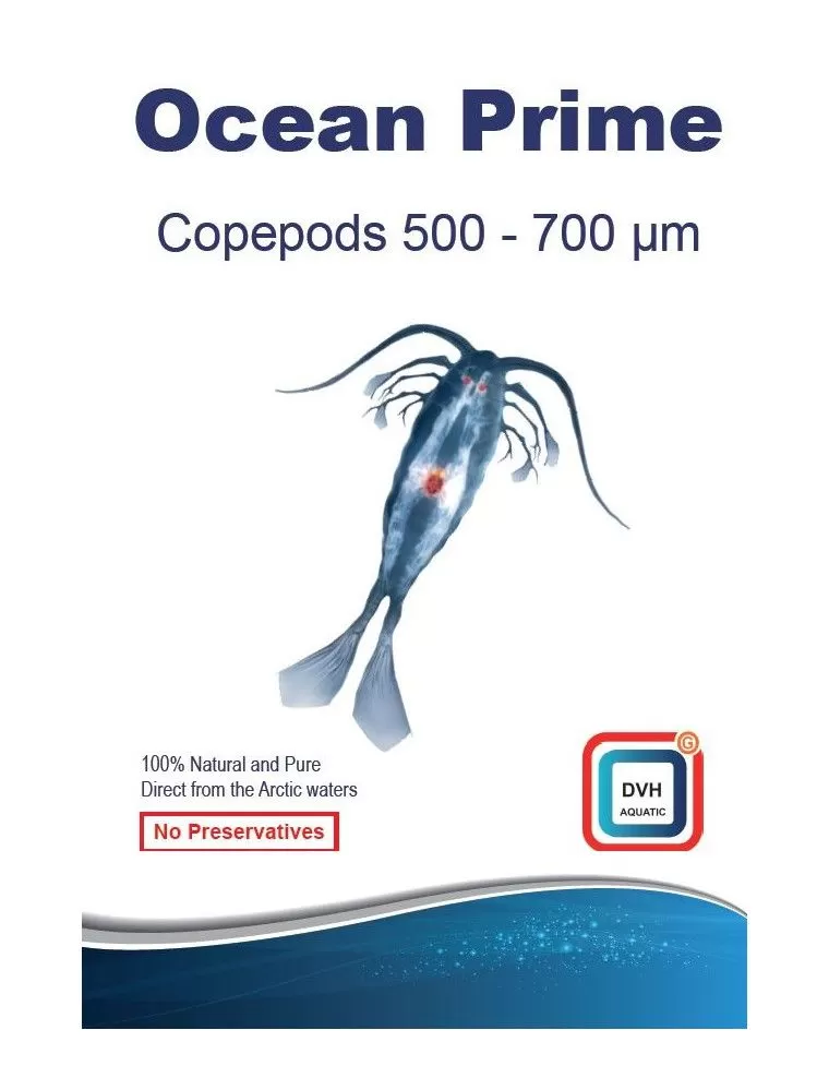 DVH Aquatic - Copépods 500-700 microns - nourriture fraiche pour poissons et coraux - 50g