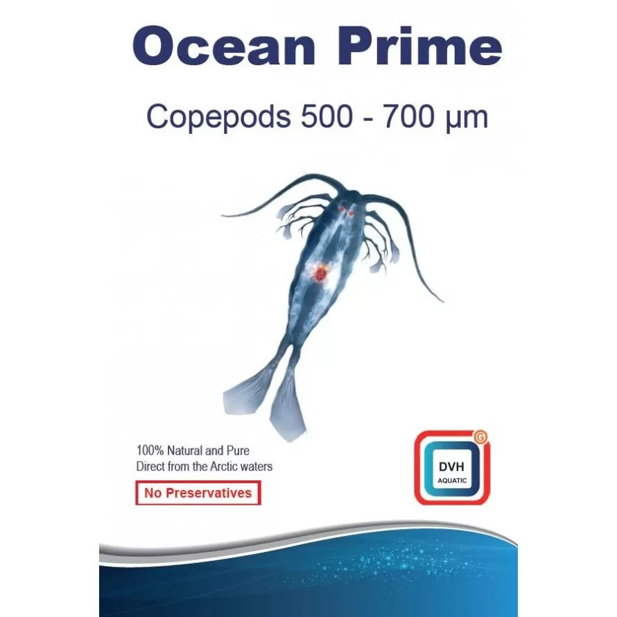 DVH Aquatic - Copepods 500-700 microns - cibo fresco per pesci e coralli - 50g