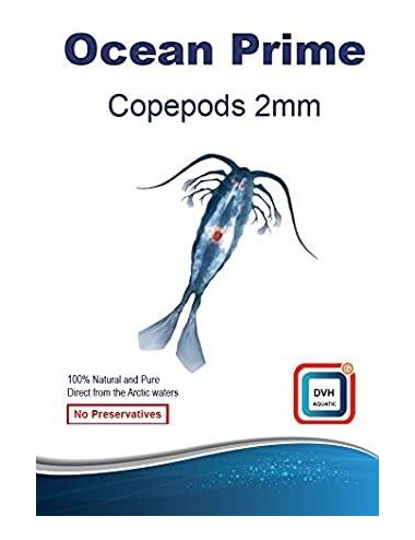 DVH Aquatic - Copépodes 2mm - alimento fresco para peixes e corais - 50g