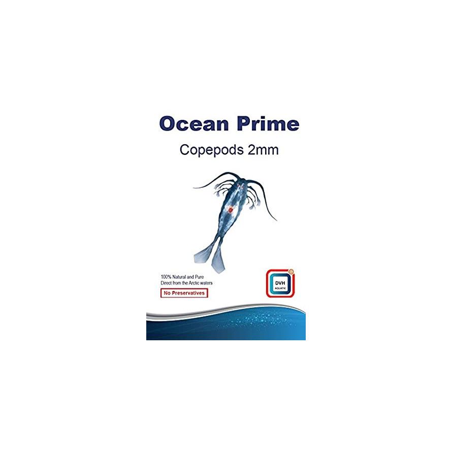 DVH Aquatic - Copépodos 2mm - Alimento fresco para peces y corales - 50g