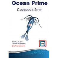 DVH Aquatic - Copépodes 2mm - alimento fresco para peixes e corais - 50g