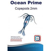 DVH Aquatic - Copépods 2mm - nourriture fraiche pour poissons et coraux - 50g DVH Aquatic - Copépods 2mm - nourriture fraiche pour poissons et coraux - 50g