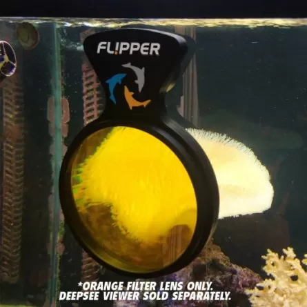 FLIPPER - DeepSee Max 5