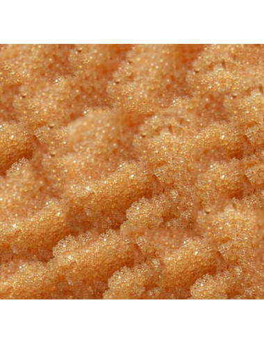 - Zoanthus.fr - Resina desmineralizante - 1 litro