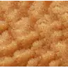 - Zoanthus.fr - Demineralization resin - 1 liter - Zoanthus.fr - Demineralization resin - 1 liter