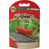 DENNERLE - Shrimp King - Color - 35 g - Nourriture colorée pour crevettes