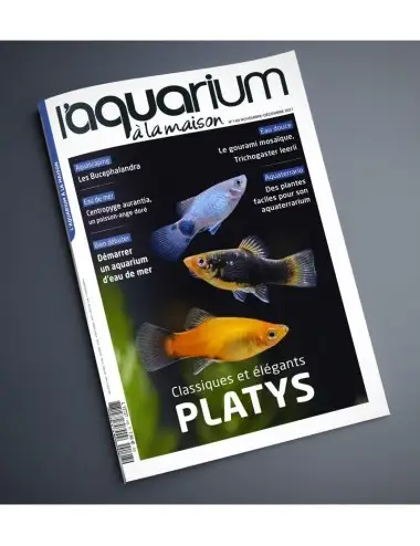 Das Aquarium zu Hause - Nummer 148