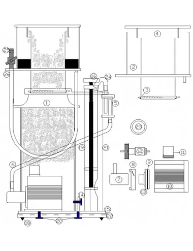 DELTEC - Schraube für Skimmer - Serie 1000 (x1)