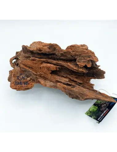 AQUAVIE - Radice di mangrovia - PM - 25-30 cm - Radice naturale