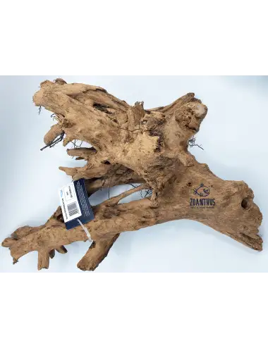 AQUAVIE - Mangrove root - GM - 40-60 cm - Natural root